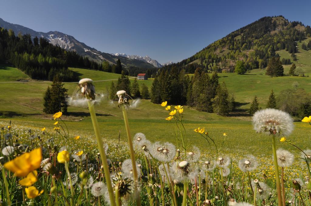 Landhotel Berghof Bad Hindelang Værelse billede